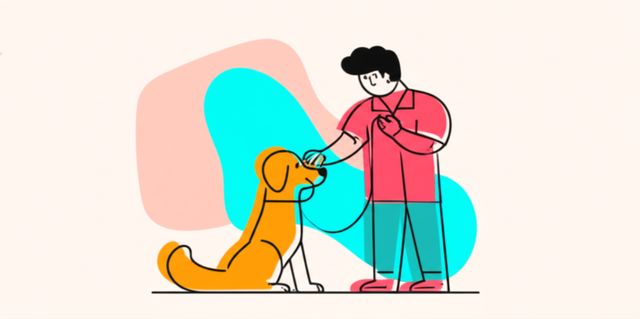Header image for Animal Trainer