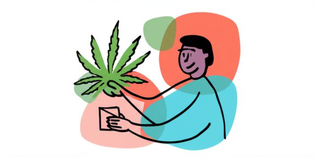 Header image for Cannabis Educator
