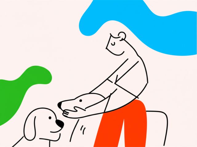 Header image for Dog Breeder