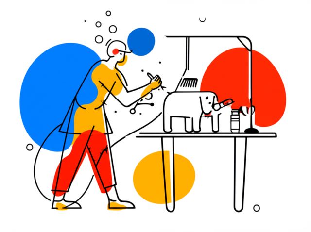 Header image for Dog Groomer