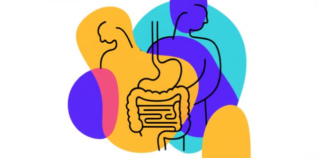 Image representing Body Systems