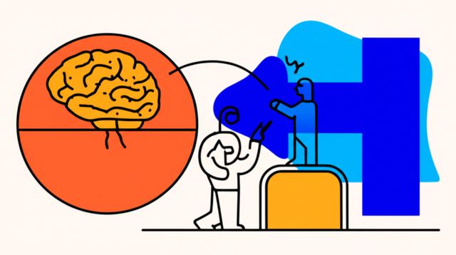 Image representing Brain Development
