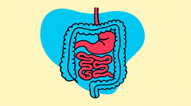 Image representing Digestion