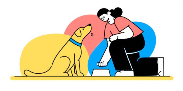 Image representing Dog Training