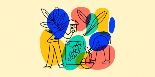 Image representing Herbal Remedies