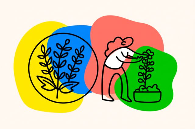 Image representing Herbalism