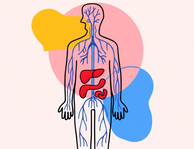 Image representing Lymphatic System