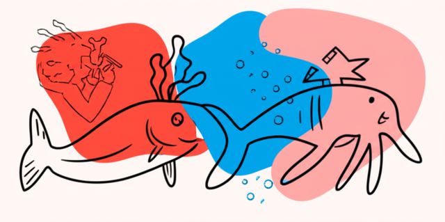 Image representing Marine Biology
